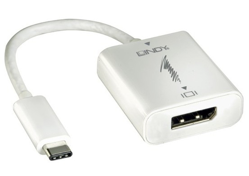Lindy USB 3.1 C - DisplayPort