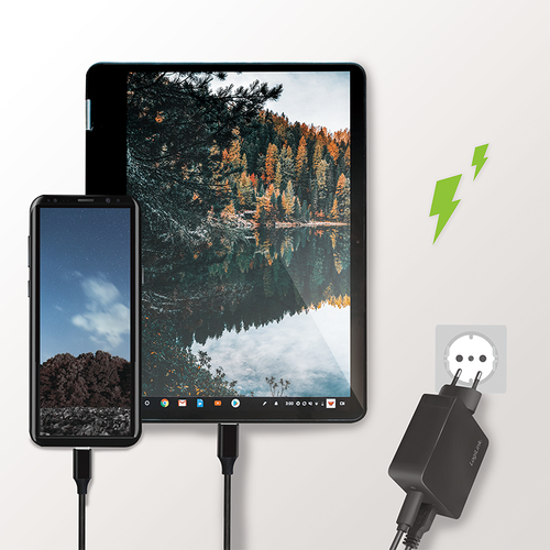 LogiLink USB Wall Charger 2port,w/PD,USB-AF & USB-CF,18W,sch, afbeelding 3