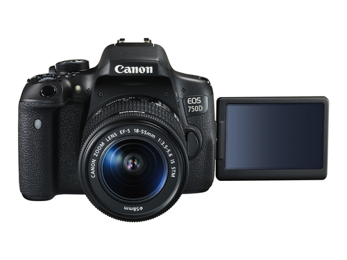 Canon 750D + EF-S 18-55 IS STM – image 5