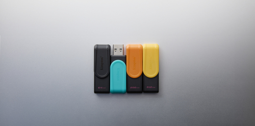 Memorias USB Kingston Technology DTXS/256GB