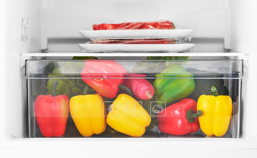 Beko CSG3582B Freestanding Frost Free Fridge Freezer with Large Salad Crisper – image 5