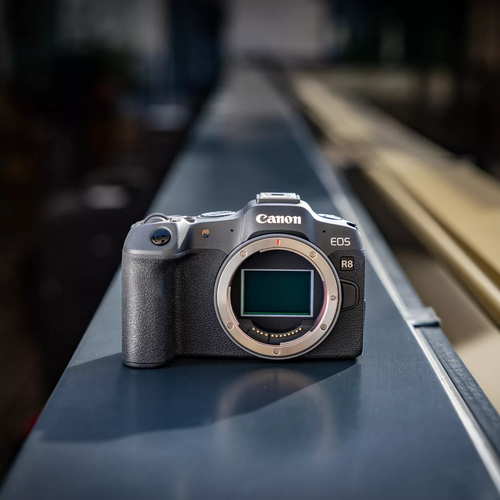 Canon EOS R8 + RF 24-105mm f/4-7.1 IS STM – Foto 9 von 10