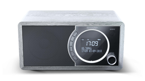 Sharp DR-450 GR DABﱓ Bluetooth Radio - Grey, Silver/Grey - image 2