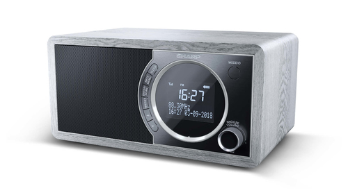 Sharp DR-450 GR DABﱓ Bluetooth Radio - Grey, Silver/Grey - image 3