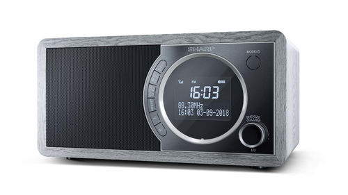 Sharp DR-450 GR DABﱓ Bluetooth Radio - Grey, Silver/Grey - image 1