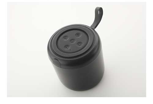 IOPLEE IOPEXTSPKER405G portable/party speaker Mono portable speaker Black – image 2
