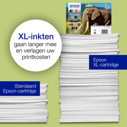 Epson Inkt - T2431, afbeelding 3