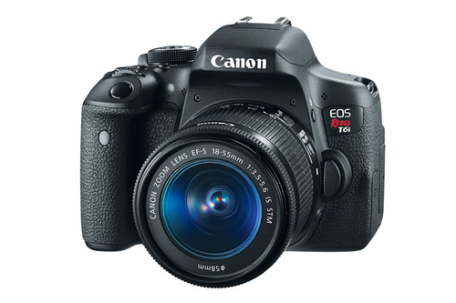Canon Rebel T6i + EF-S 18-55mm f/3.5-5.6 IS STM Kit