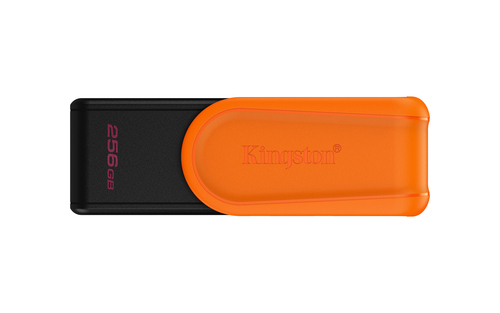 Memorias USB Kingston Technology DTXS/256GB