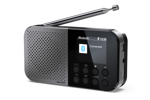 Sharp DR-P520 Personal Digital Grey – image 2