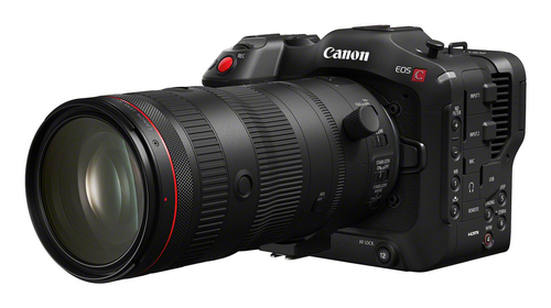 Canon RF 24-105mm f/2.8 L IS Usm Z Lens - image 2