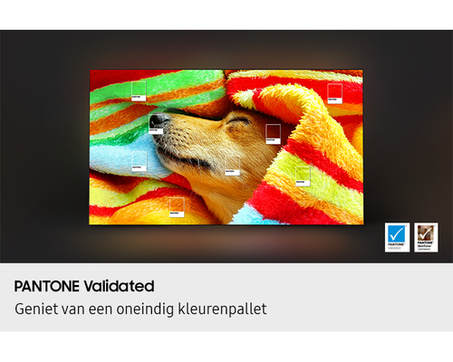 Samsung 55" OLED S85F 4K (2025), afbeelding 8