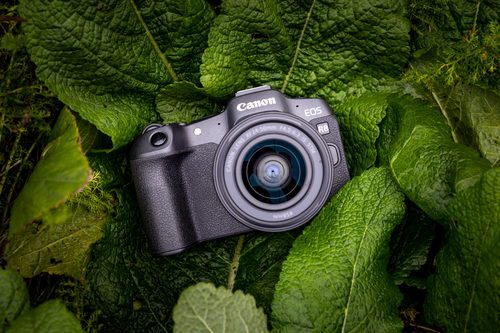 Canon EOS R8 Body, afbeelding 10