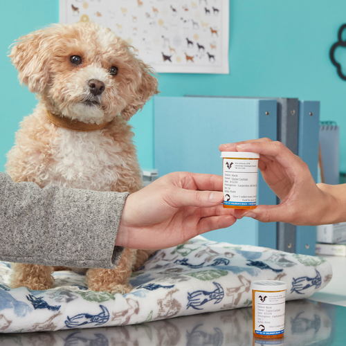 Dymo Labelwriter Veterinary Prescription Easy-Peel 400 Labels (Pack 6) - image 7