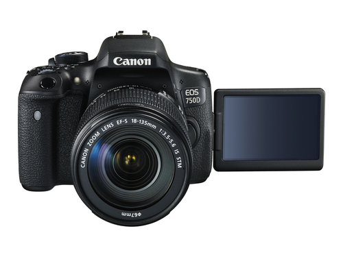 Canon 750D + EF-S 18-135 IS STM – image 5