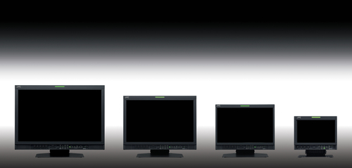 JVC DT-V24L1U LCD Monitor – image 5