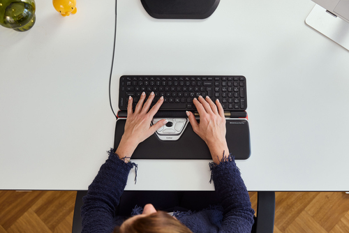 CONTOUR RollerMouse Red Plus Wired
