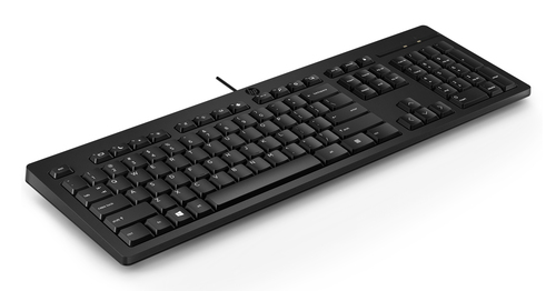 HP 125 USB Wired Keyboard – image 4