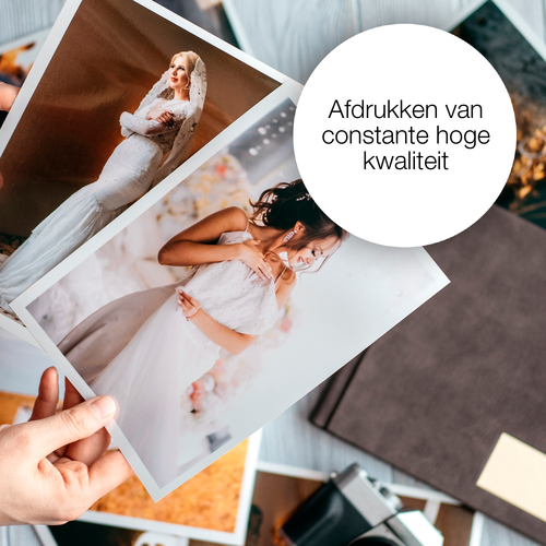 Epson Singlepack Black 603XL Ink inkt, afbeelding 6