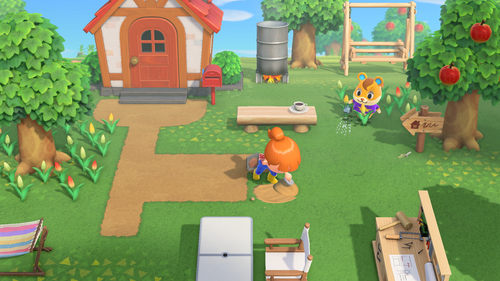 Animal Crossing New Horizons, afbeelding 5