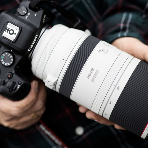 Canon RF 100-500mm f4.5-7.1L IS Usm Lens - image 7