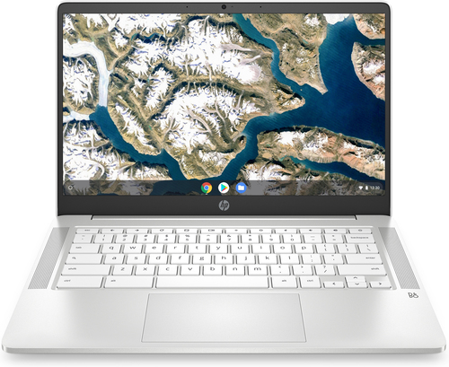 HP 244L4EA