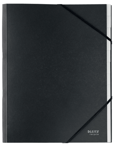 Leitz Recycle Card Divider Book