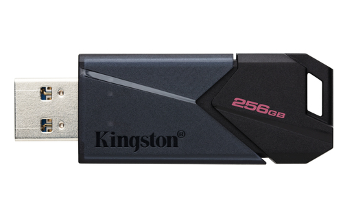 Memoria USB Kingston Technology DTXON/256GB