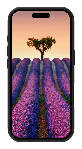DBramante1928 Roskilde Apple iPhone 17 Pro Back Cover met MagSafe Leer Zwart, afbeelding 5