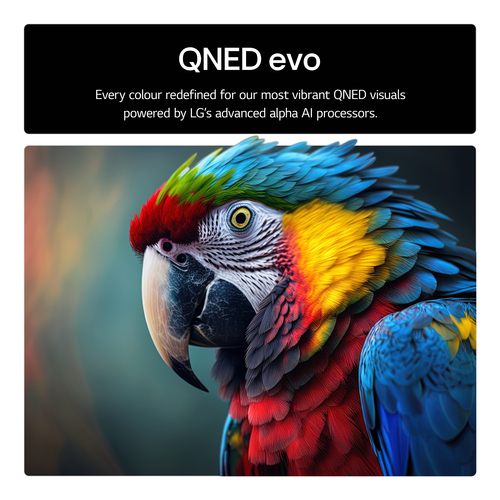 LG QNED85A 75 inch MiniLED 4k Smart TV - image 6