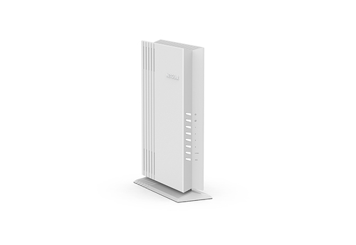 NETGEAR WAX206 wireless access point 3200 Mbit/s Grey