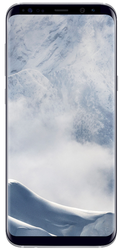 Samsung Galaxy S8+ PPLJTS8+64GBSILCHRAVATDSP smartphone