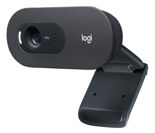 960-001367 Logitech C505 - Webcam - color - 720p - focal fijado - audio - USB