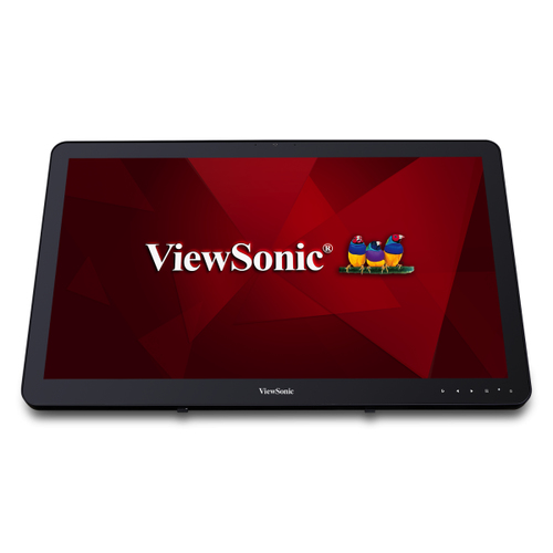 Viewsonic VSD243 computer monitor