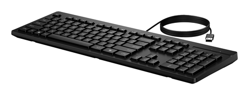 HP 125 USB Wired Keyboard – image 8