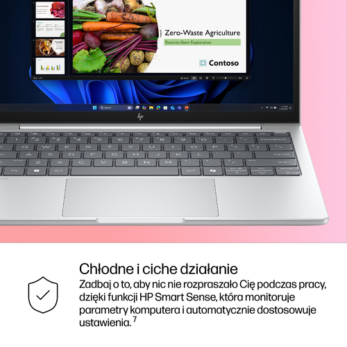 HP Inc. Notebook EliteBook 8 G1i U7-255U 512GB/16GB/W11P/13.3 C51LBET