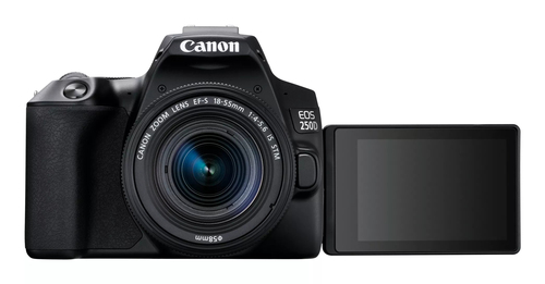 Canon 250D + 18-55mm IS STM – image 4