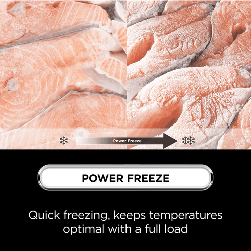 TCL RP318BSE1UK fridge-freezer Freestanding – image 4