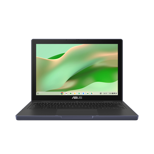 ASUS Chromebook CZ1204CM2A-R80017-3Y MediaTek Kompanio 520 Хромбук 31 cm (12.2") WUXGA 4 GB LPDDR4-SDRAM 64 GB eMMC Wi-Fi 6 (802.11ax) ChromeOS Серый