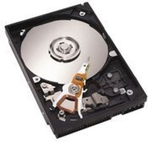 Seagate Barracuda 7200.11 SATA 1TB