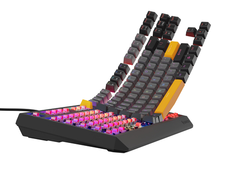 GENESIS NKG-2082 Thor 230 TKL RGB toetsenbord Zwart, afbeelding 8