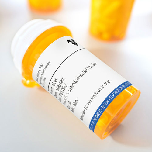 Dymo Labelwriter Veterinary Prescription Easy-Peel 400 Labels (Pack 6) - image 5