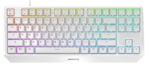 Cherry MX Board 1.0 TKL RGB