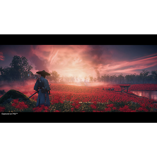 Playstation Ghost Of Tsushima Director's Cut - PS5 Game, New - image 8