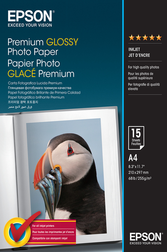 Epson A4 Glossy Photo Paper 15 Sheets - C13S042155