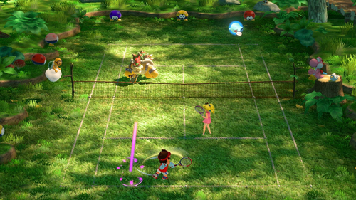 Nintendo 45496421984