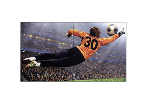LG 49VL5G-M Signage Videowall 49inch