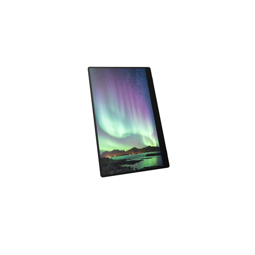 RICOH 150 Mobiler Monitor Touchscreen 15.6" OLED Full HD, afbeelding 3