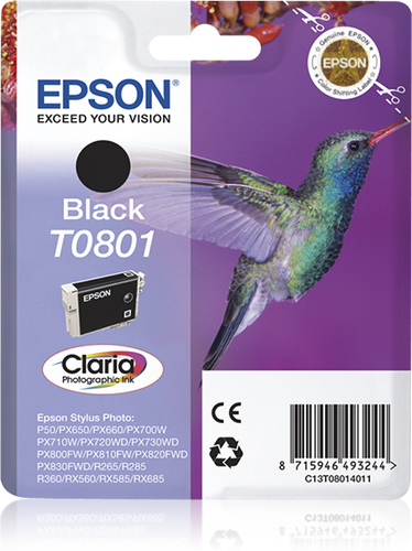 Epson T0801 - Zwart