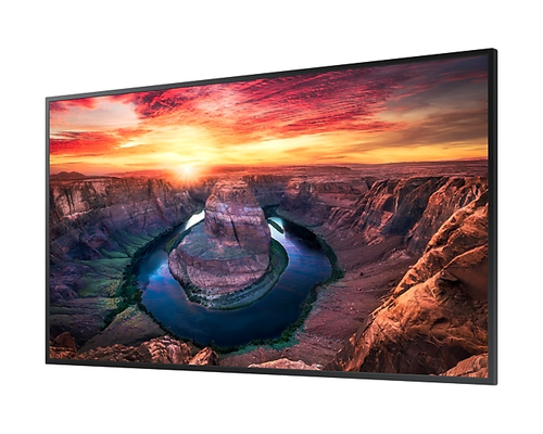 Monitor Profesional SAMSUNG QM43B